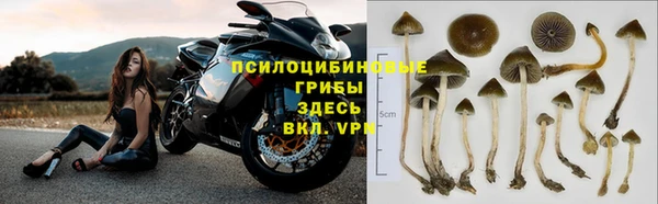 эйфоретик Абдулино