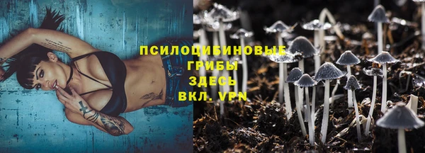 марихуана Абаза
