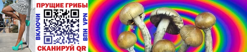 цена   Прокопьевск  kraken зеркало  Псилоцибиновые грибы Magic Shrooms 